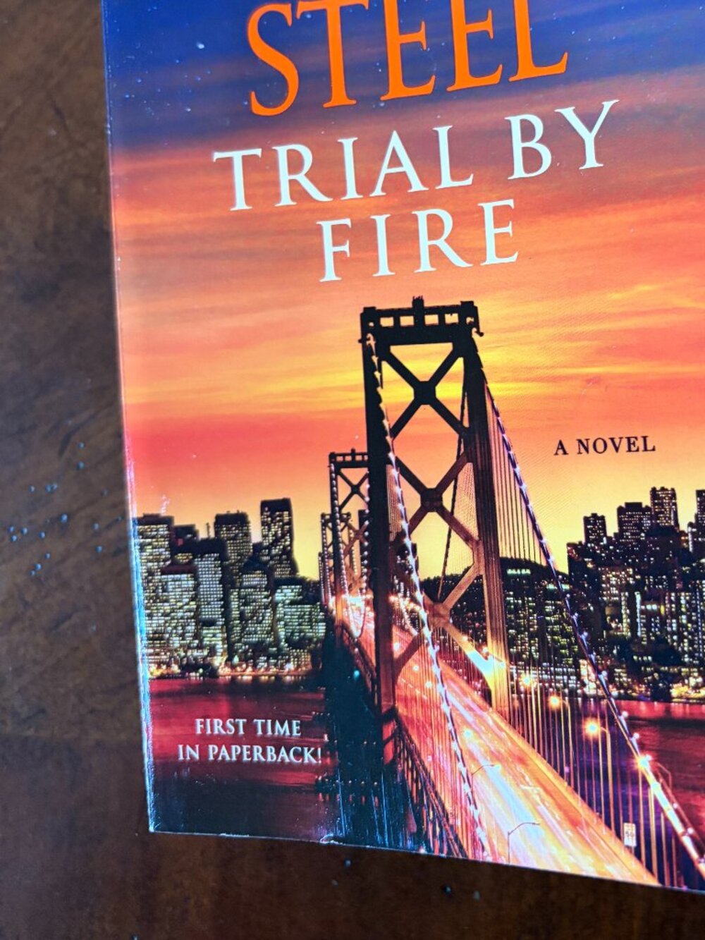 Danielle Steel TRIAL BY FIRE Paperback